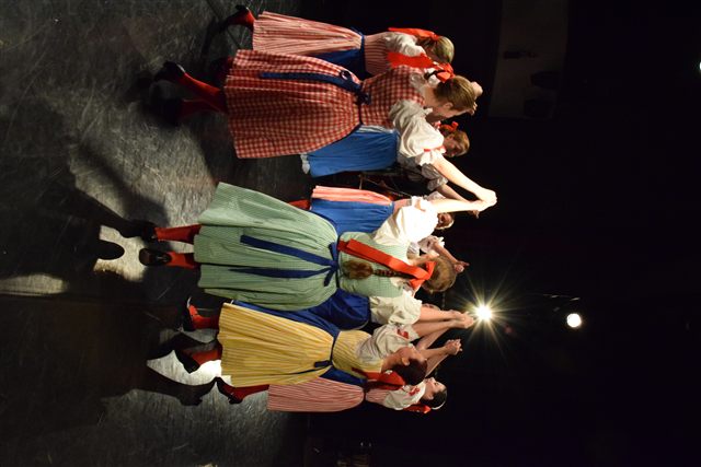 Koncert k výročí 25 let založení Folklórního souboru Mateník - fotografie 5